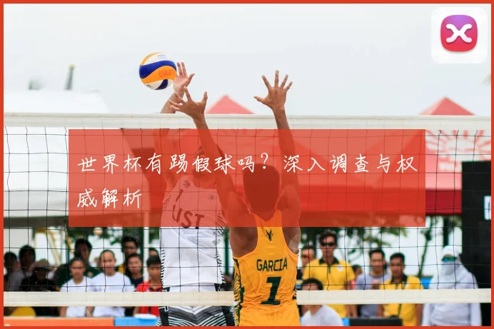 世界杯有踢假球吗?深入调查与权威解析