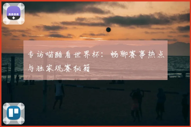 专访喵酷看世界杯:畅聊赛事热点与独家观赛秘籍