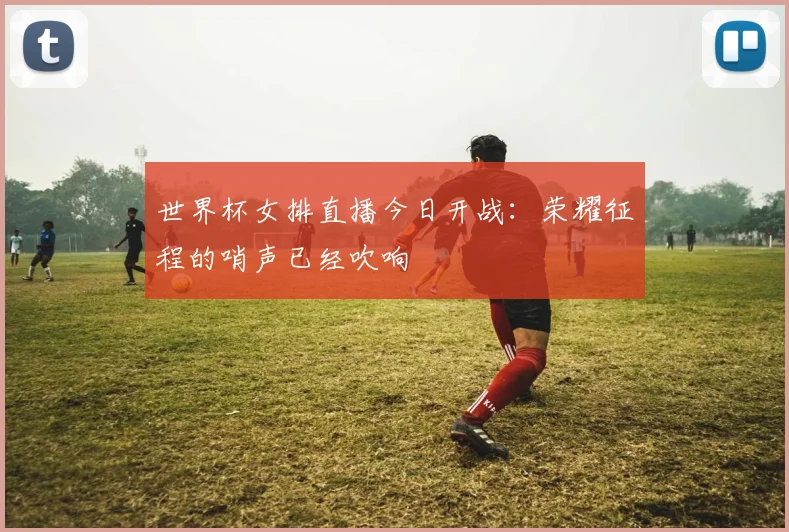 世界杯女排直播今日开战:荣耀征程的哨声已经吹响