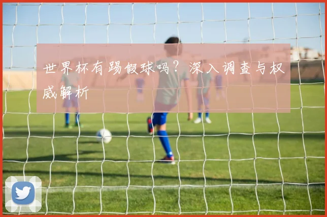 世界杯有踢假球吗?深入调查与权威解析