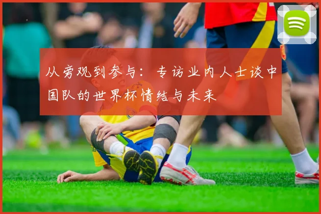 从旁观到参与:专访业内人士谈中国队的世界杯情结与未来