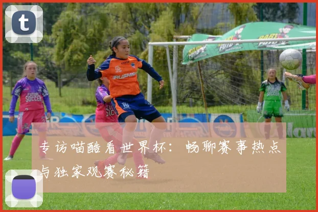 专访喵酷看世界杯:畅聊赛事热点与独家观赛秘籍