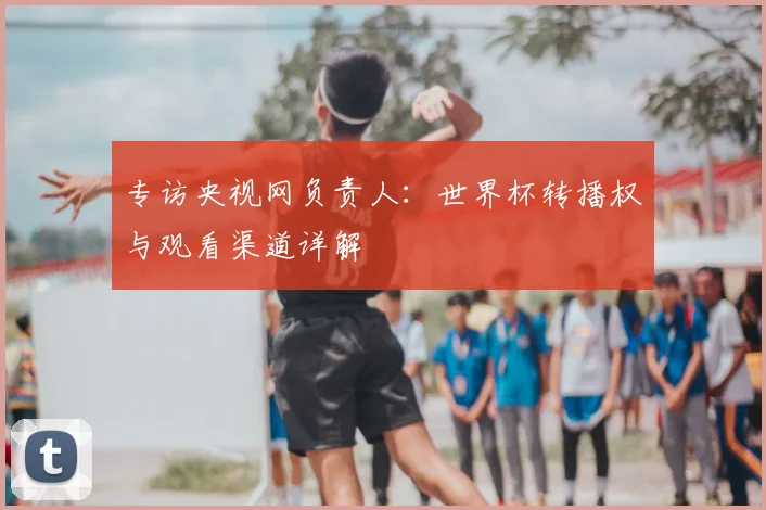 专访央视网负责人:世界杯转播权与观看渠道详解