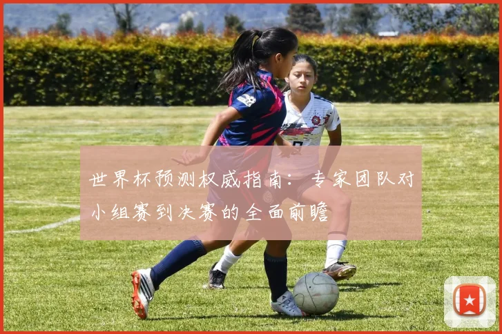 世界杯预测权威指南:专家团队对小组赛到决赛的全面前瞻