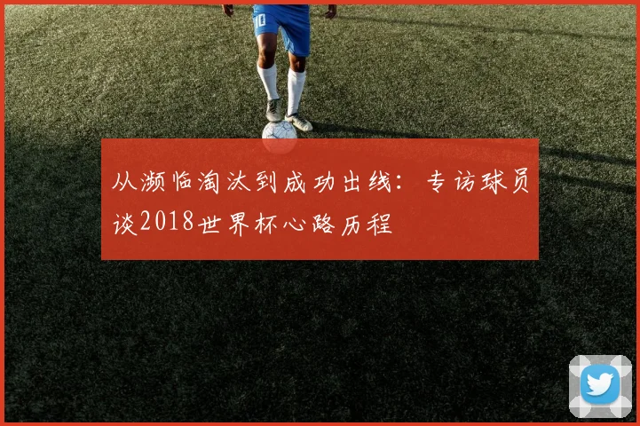 从濒临淘汰到成功出线：专访球员谈2018世界杯心路历程
