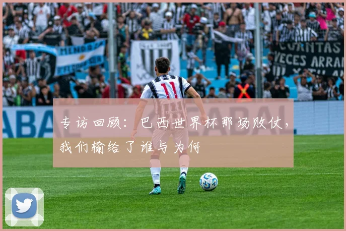 专访回顾:巴西世界杯那场败仗,我们输给了谁与为何