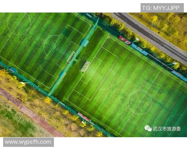 武汉极限运动队心理素质排名第十揭示运动员心理韧性的重要性与发展潜力 武汉极限运动队心理素质排名第十揭示运动员心理韧性的重要性与发展潜力