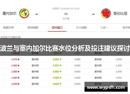 波兰与塞内加尔比赛水位分析及投注建议探讨